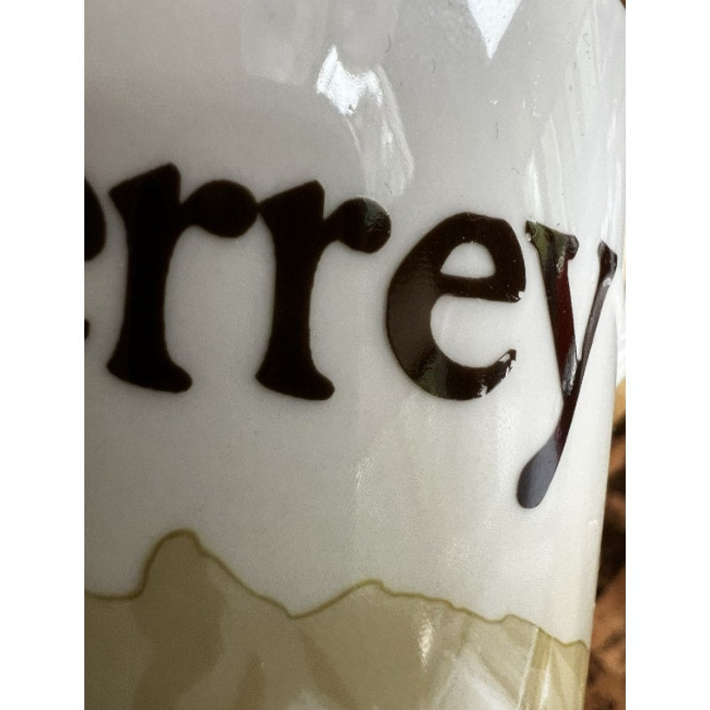 Starbucks Monterrey Mexico Global Icon Series 16 Oz Coffee Mug HTF READ