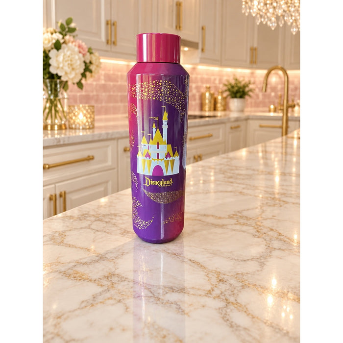 Starbucks Disneyland Resort 2023 Stainless Steel Bottle 20oz Pink Purple NWT