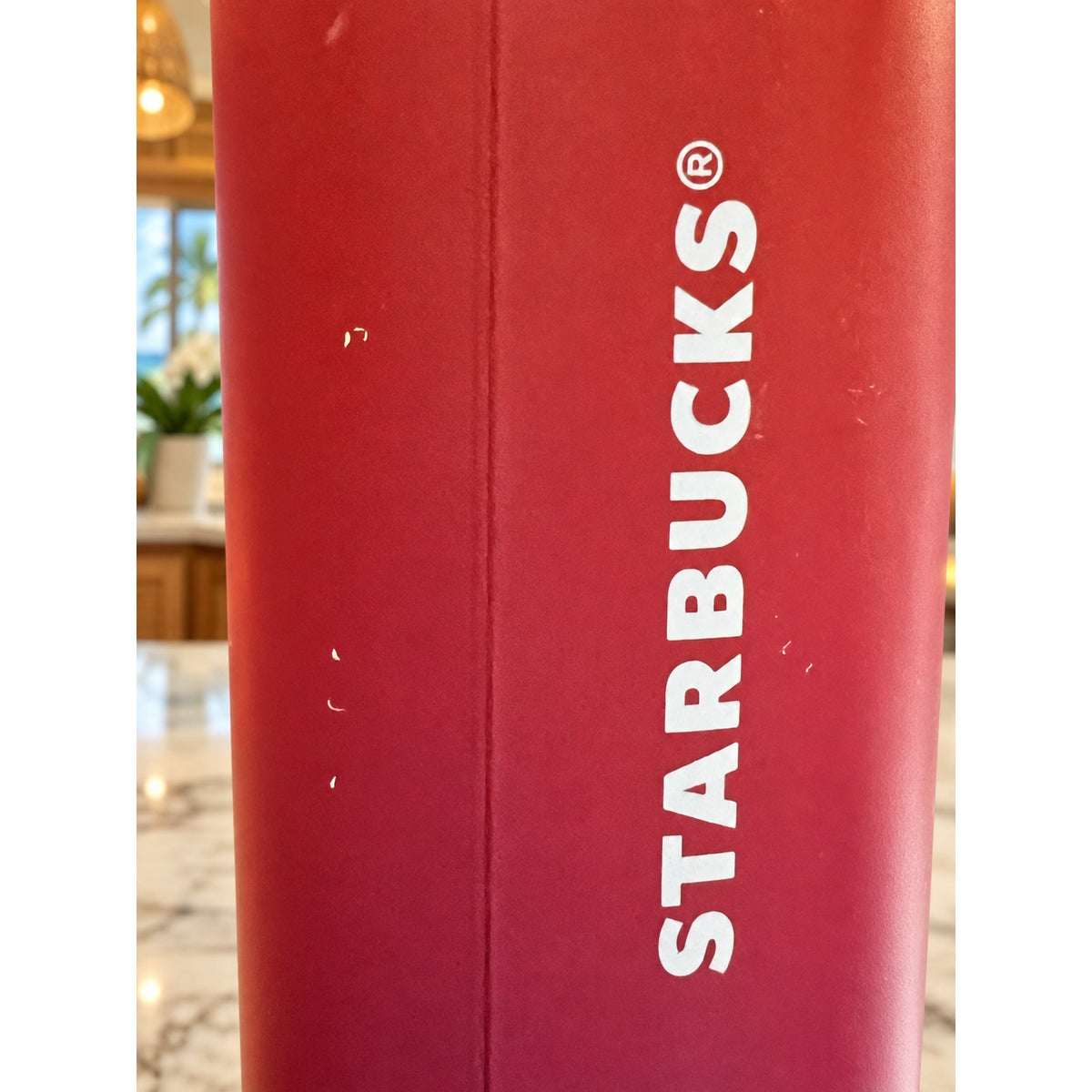 Starbucks Hawaii Insulated Tumbler 16oz Palm Leaf Travel Cup READ